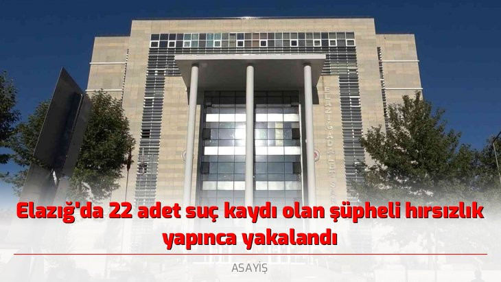 Elazığ'da 22 adet suç kaydı olan şüpheli hırsızlık yapınca yakalandı